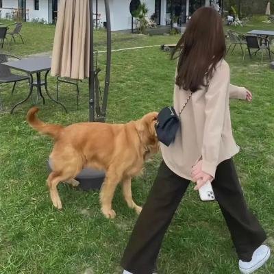 甜蜜的人生